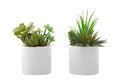 Artificial Plant, 7