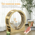 Pawhut Cat Wheel For Indoor Cats, 36