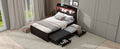 Twin Xl Size Platform Bed With Storage Led Headboard, Charging Station, Twin Size Trundle And 2 Drawers, Dark Brown Box Spring Not Required Twin Xl Dark Brown Wood Bedroom Bed Frame Solid Wood Mdf