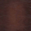 Brookfield Top Grain Leather Chair Caramel Primary Living Space Mid Century Modern Eucalyptus Down Filling Leather