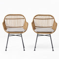 Orlando Chairs Brown Beige Iron Plastic