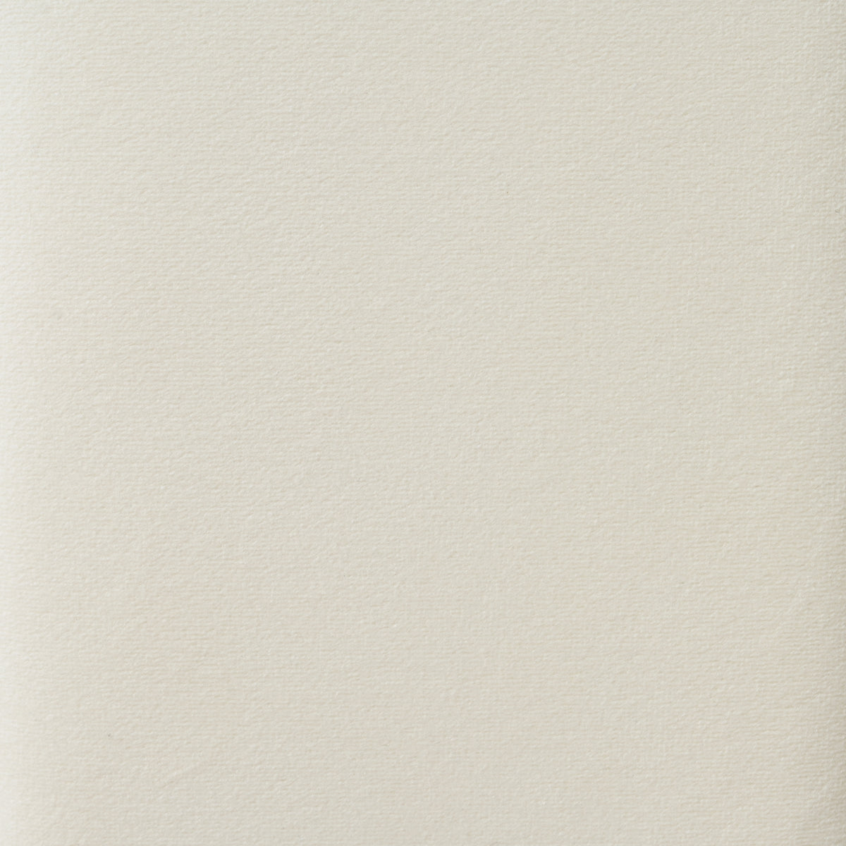 Modern Velvet Accent Chair With Ribbed Detail, Luxury Curved Fully Upholstered Accent Chair, Ivory White No Assembly Needed Ivory White Velvet