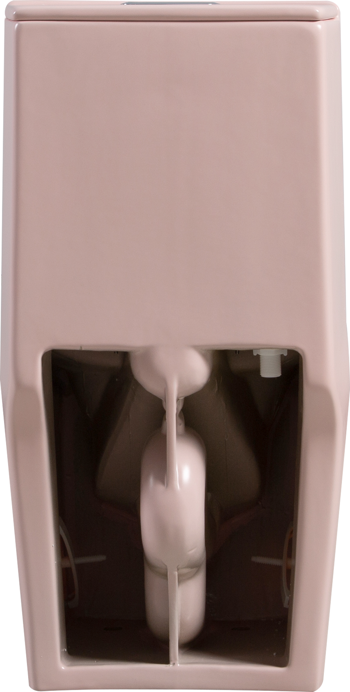 1.1 1.60 Gpf Dual Flush One Piece Toilet, Water Saving Elongated Comfort Height Floor Mounted, Soft Close 1000 Gram Map Flushing Score Toilet, Rose 23T01 Rs Rose Ceramic