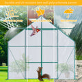 8X6Ft Green Double Door Polycarbonate Greenhouse Raised Base And Anchor Aluminum Heavy Duty Walk In Greenhouses For Outdoor Backyard In All Season Green Aluminum