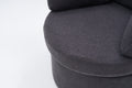 029 Teddy Fabric Swivel And Storage Chair With Back Cushion For Living Room,Dark Gray Dark Gray Primary Living Space Modern Foam Teddy