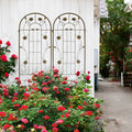 2 Pack Metal Garden Trellis 86.7