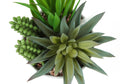 Artificial Plant, 7