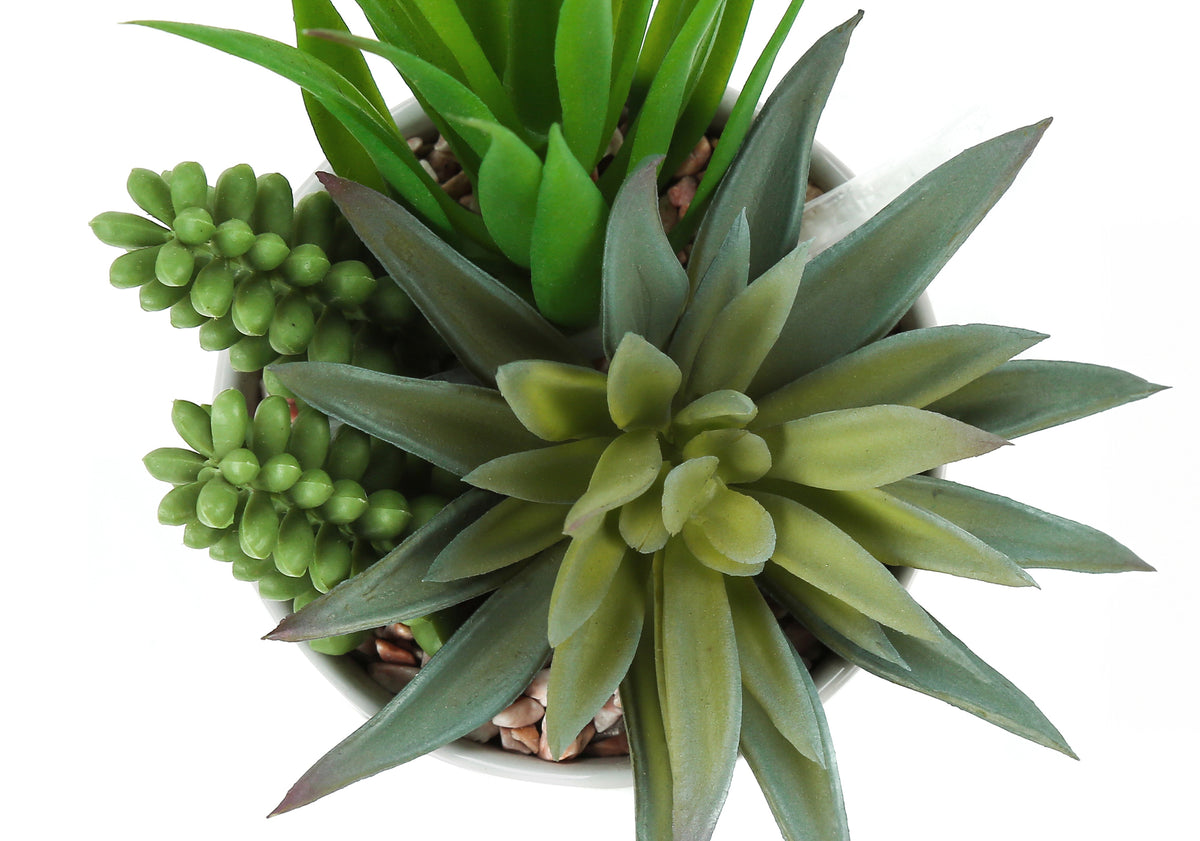 Artificial Plant, 7" Tall, Succulent, Indoor, Faux, Fake, Table, Greenery, Potted, Set Of 2, Decorative, Green Plants, White Ceramic Pots Green Foam Plastic