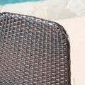 Gila Dining Chair With Heat Tranfer Legs,Set Of 2 Brown Multi Rattan